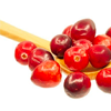 Cranberry extract - Cystiolla Composition 